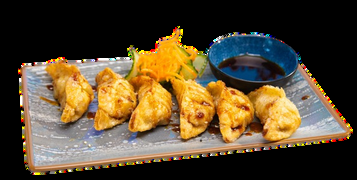 Grilovaná Gyoza (6 ks)